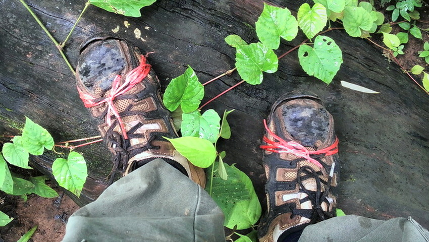 what to bring sport sandals