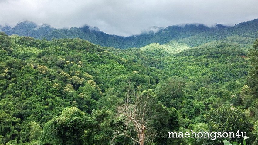 hua nam view