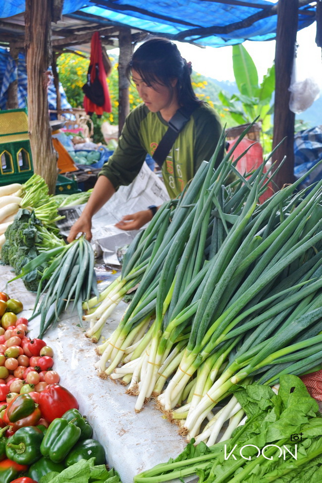 hmong market