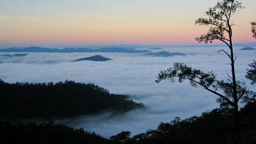 morning misty while trekking doi san fah